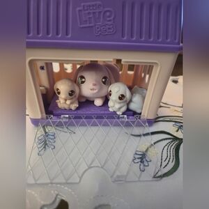 Little Live Pets LIL' Bunny Mama Surprise Mini Playset Mystery Babies